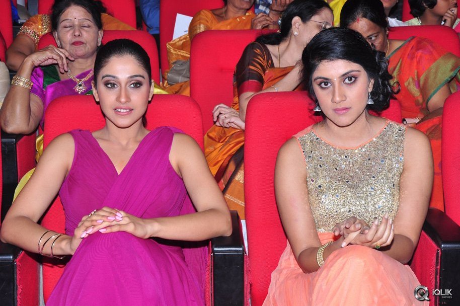 Bhale-Manchi-Roju-Movie-Audio-Launch